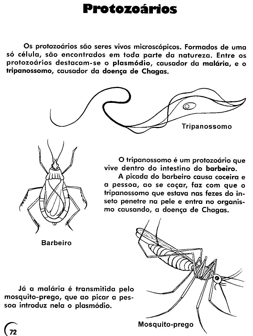 Tenho medo de ir a um banheiro por causa de vermes
